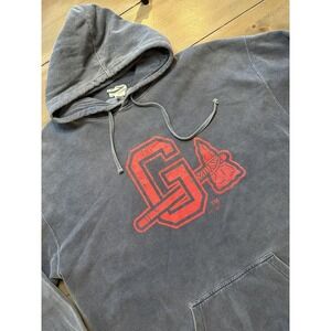 Vintage Gwinnett Braves Hoodie Mens 2XL Gray MILB Baseball Oversized Fleece Logo